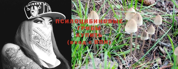 прущая мука Баксан